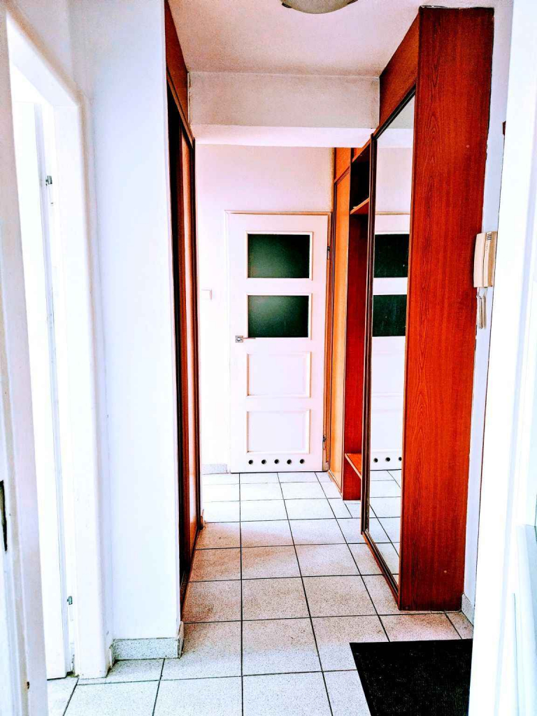 2pok, 39met, Okolice Placu Jana Pawła II PIWNICA/WINDA (Wrocław) Stare Miasto - zdjęcie 11