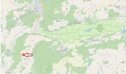 nieruchomość gruntowa niezabudowana, stanowiąca grunt leśny Stare Miasto - zdjęcie 2