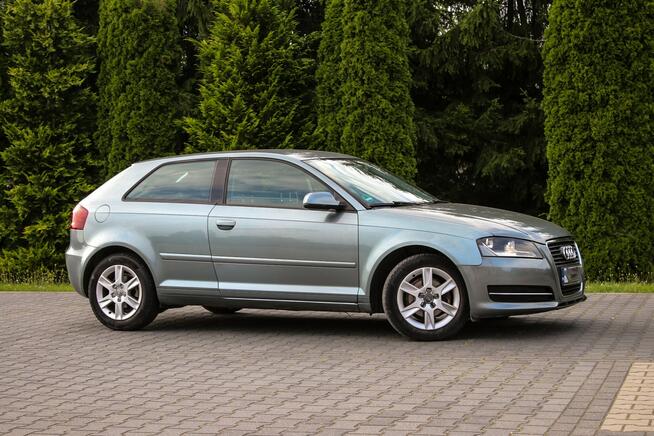 Audi A3 105KM Klimatronik Parktronik Lift Ostrów Mazowiecka - zdjęcie 8
