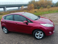 Ford Fiesta Psie Pole - zdjęcie 12