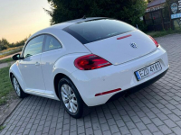 Volkswagen New Beetle *Benzyna*Niski Przebieg*BDB stan* Zduńska Wola - zdjęcie 7