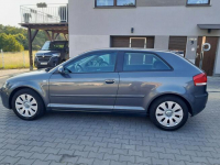 Audi A3 1.6i  103 PS MPI alufelgi klimatronik parktronik stan BDB Gryfino - zdjęcie 8