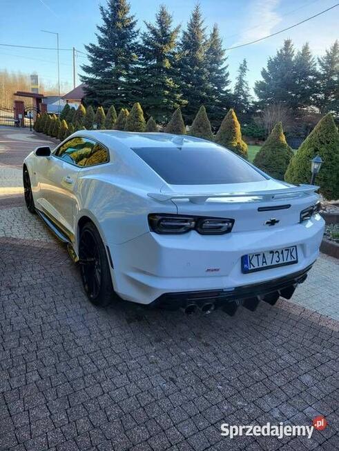 Camaro Chojnik - zdjęcie 4