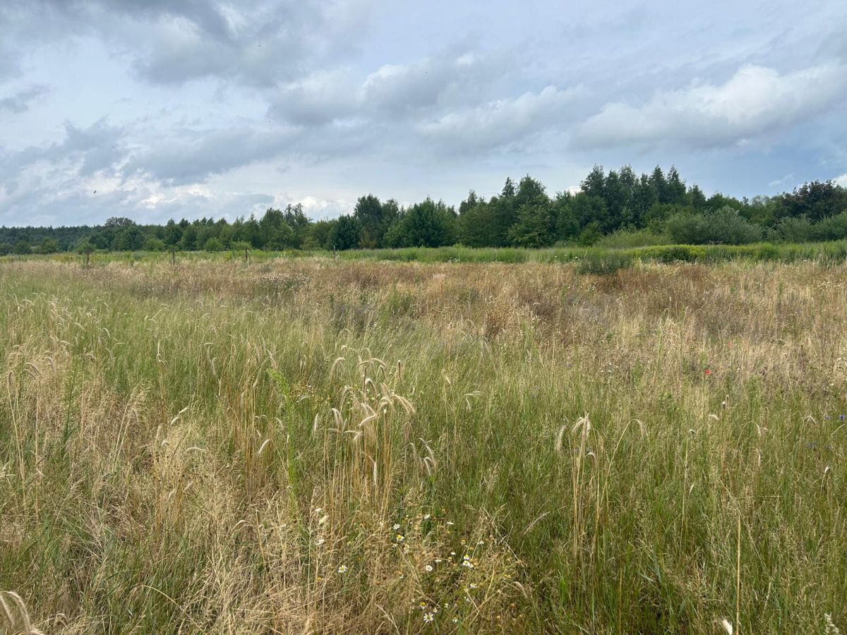 Działki budowlane z WZ, w zielonej części Poznania Poznań - zdjęcie 4