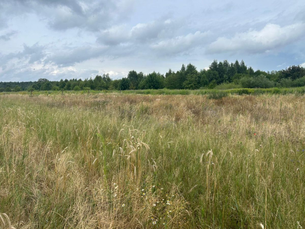 Działki budowlane z WZ, w zielonej części Poznania Poznań - zdjęcie 4