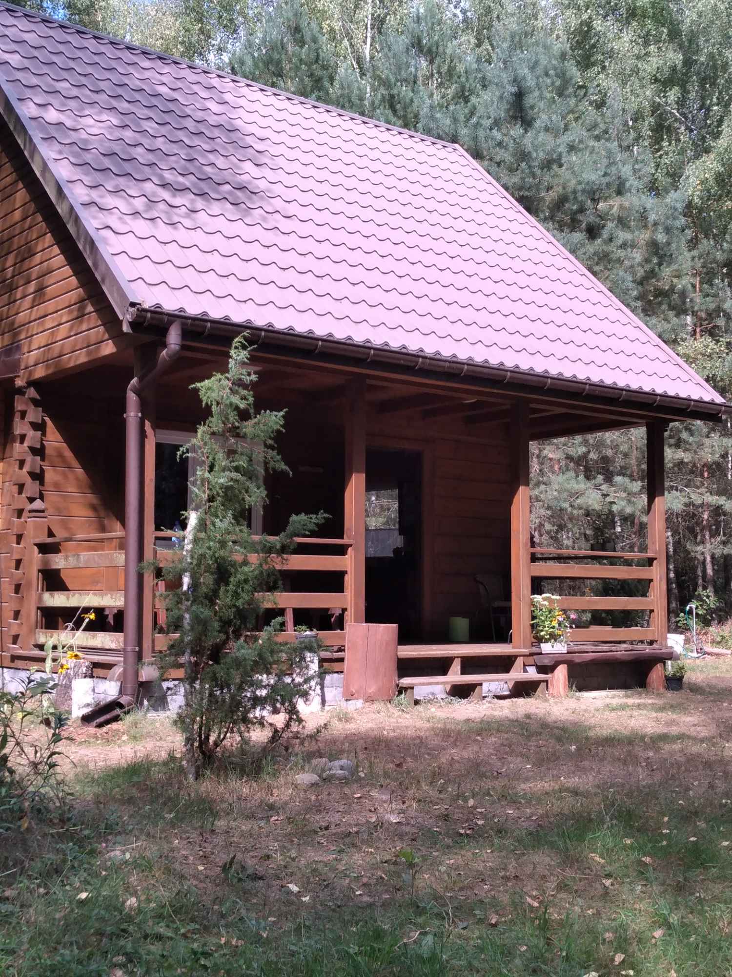 Domek z bala sosnowego na Mazurach niedaleko Szczytna Orzyny - zdjęcie 2