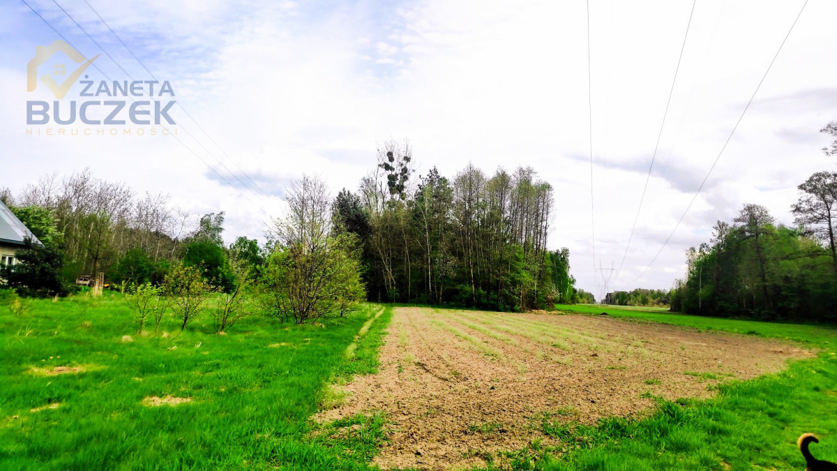 Sprzedam działkę rolną w Juliopolu 12 ha Juliopol - zdjęcie 1