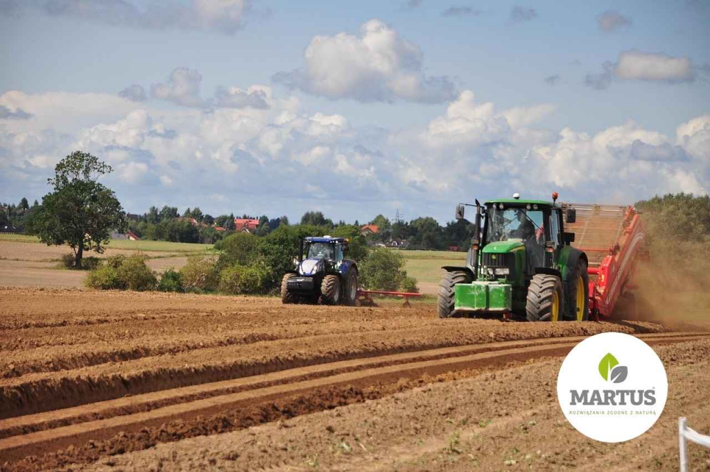 Wapno węglanowe z magnezem z Kopalni Jaźwica Kłobuck - zdjęcie 1