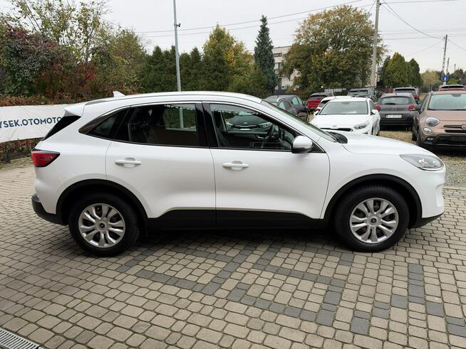Ford Kuga 1,5 EcoBoost 120KM Orzech - zdjęcie 5