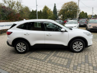 Ford Kuga 1,5 EcoBoost 120KM Orzech - zdjęcie 5