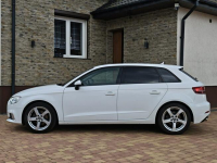 Audi A3 Sadlno - zdjęcie 7