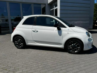 Fiat 500 Salon PL Hey Google Panorama CarPlay Baranowo - zdjęcie 7