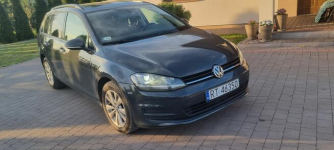 Volkswagen Golf 7 kombi Tarnobrzeg - zdjęcie 5