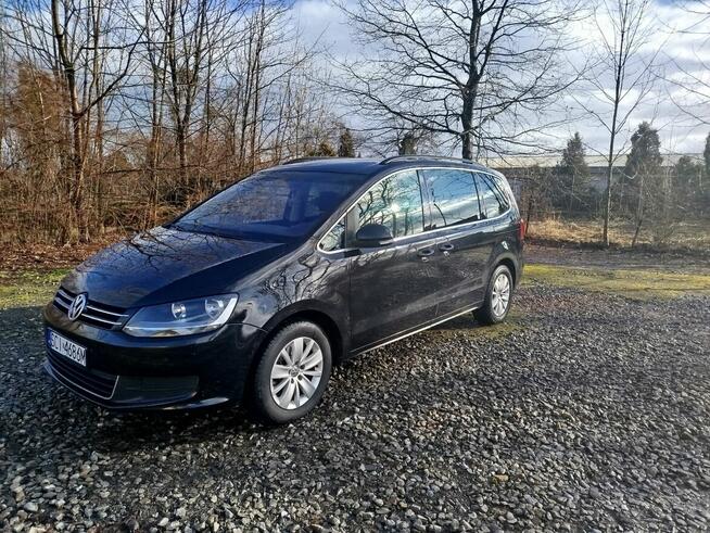 Sprzedam Sharana Zamarski - zdjęcie 5