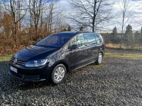 Sprzedam Sharana Zamarski - zdjęcie 5