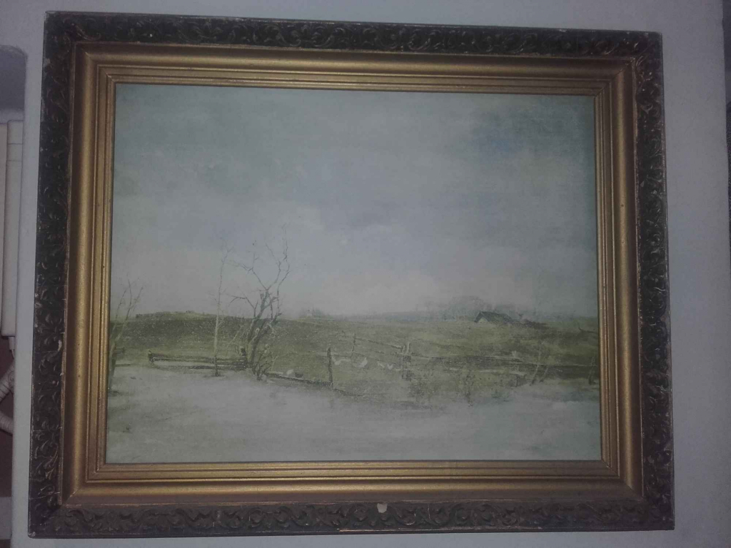 Kolekcja obrazów Bielany - zdjęcie 2