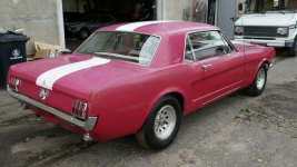 Ford Mustang V8 289cu Automat Sprowadzony C-code LUXURYCLASSIC Koszalin - zdjęcie 4