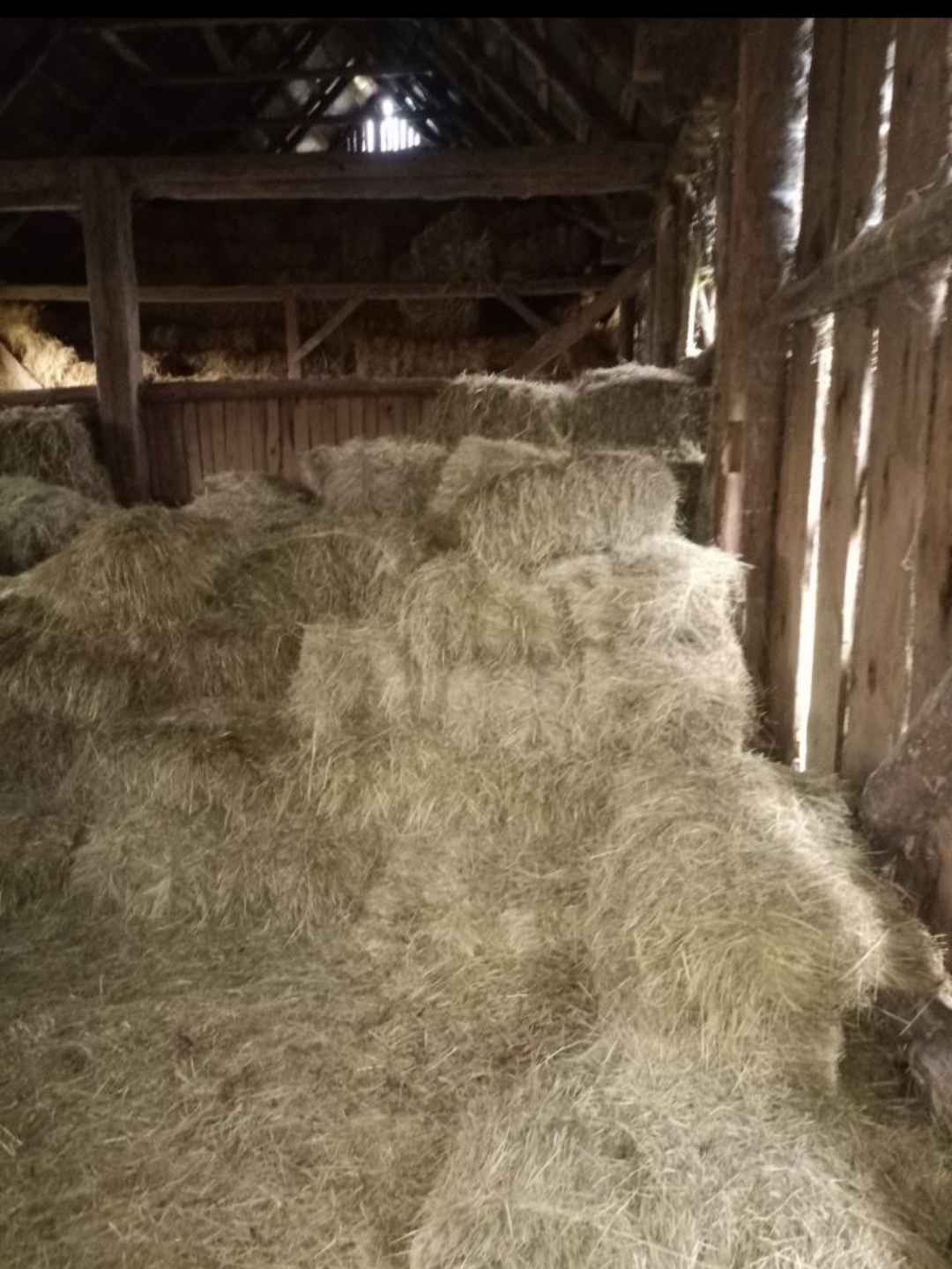 Sprzedam słomę dobrze zbita i zwiazana Pomiechówek - zdjęcie 4