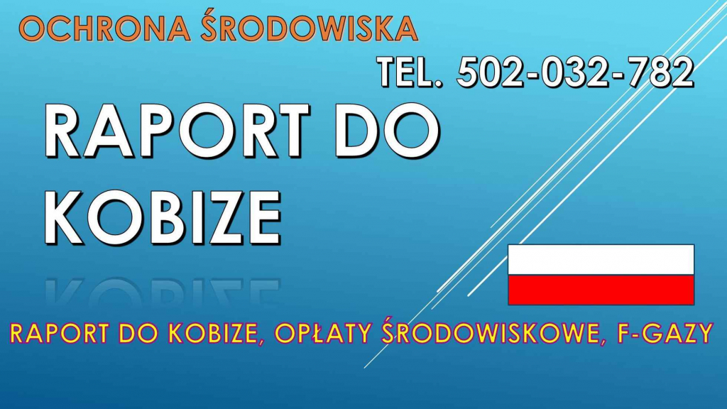 Wykonanie raportu do Kobize, tel. 502-032-782. Raport do kobize, cena Psie Pole - zdjęcie 4