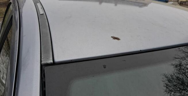 Opel Astra H Strzelin - zdjęcie 9