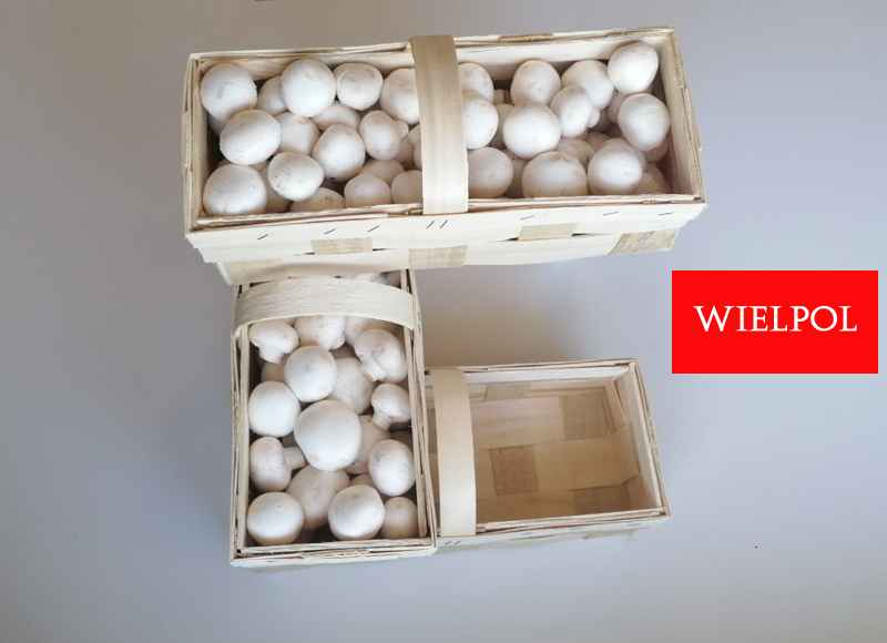 Opakowania do białych pieczarek / białej pieczarki Wielichowo - zdjęcie 4