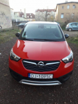 Opel Crosland X z 2019 r 1.5 CDTI Jelenia Góra - zdjęcie 2