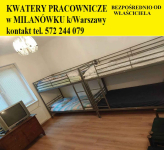 Kwatery Prywatne w Milanówku tel.572244079 Milanówek - zdjęcie 1