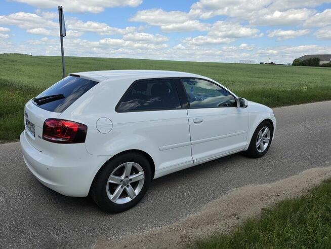 audi a3 1.6tdi/ 2011rok Zambrów - zdjęcie 2