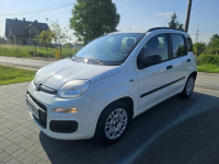 Fiat Panda Polski salon, Bezwypadkowy