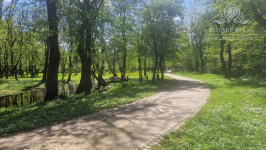 REALIZACJA 10.2025/Mieszkanie 4 pok.62,30m2/ balkon/Brochów Wrocław - zdjęcie 10