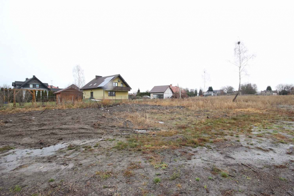 Działka Budowlana (6600 m2) okolice Różanej (Syców) Syców - zdjęcie 10