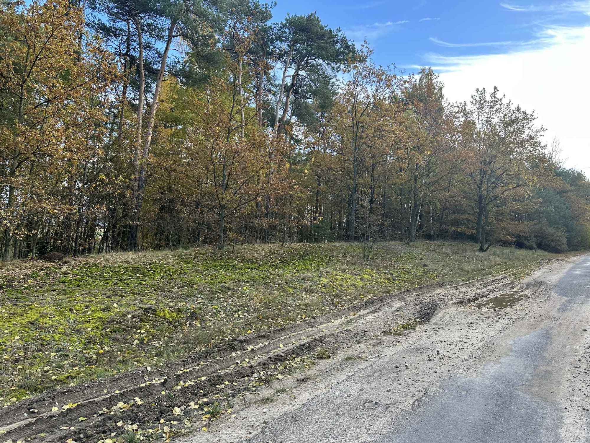 Działka budowlana na sprzedaż 4800 m 2, Gmina Brójce, Pałczew Pałczew - zdjęcie 4