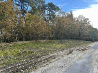 Działka budowlana na sprzedaż 4800 m 2, Gmina Brójce, Pałczew Pałczew - zdjęcie 4