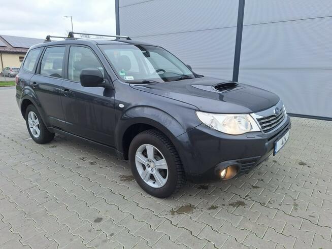 Subaru Forester Zieleniewo - zdjęcie 8