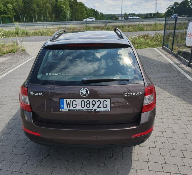 Škoda Octavia Lipówki - zdjęcie 10