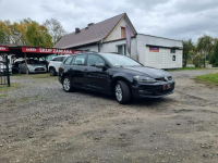 Volkswagen Golf Salon PL - Klimatronik - Pdc x 2 - Alu - Bardzo ŁADNY Szczecin - zdjęcie 8