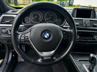 BMW 420 Sadlno - zdjęcie 10