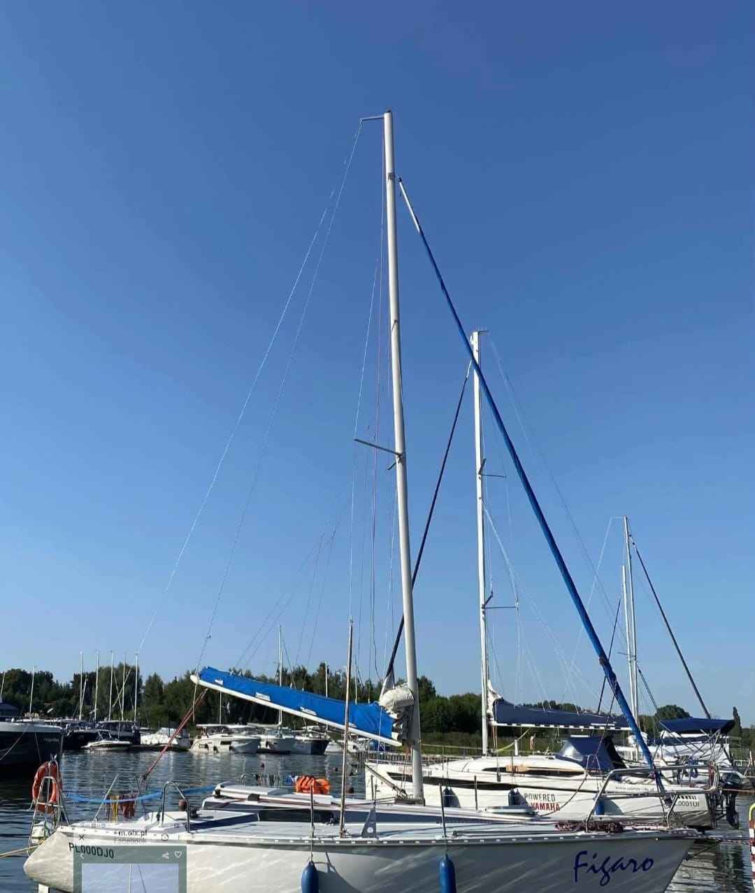 Sprzedam Jacht TSNGO 780 Sport Ostróda - zdjęcie 6