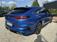 Kia Pro Cee'd salon PL, 1.5 T-GDI 7DCT, FV 23%, ASO, GT LINE Pęcice - zdjęcie 11