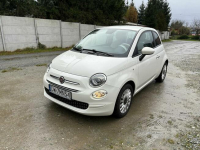 Fiat 500 1.0 Lounge 70KM Hybrid - Niski przebieg, serwisowan Szewce - zdjęcie 8