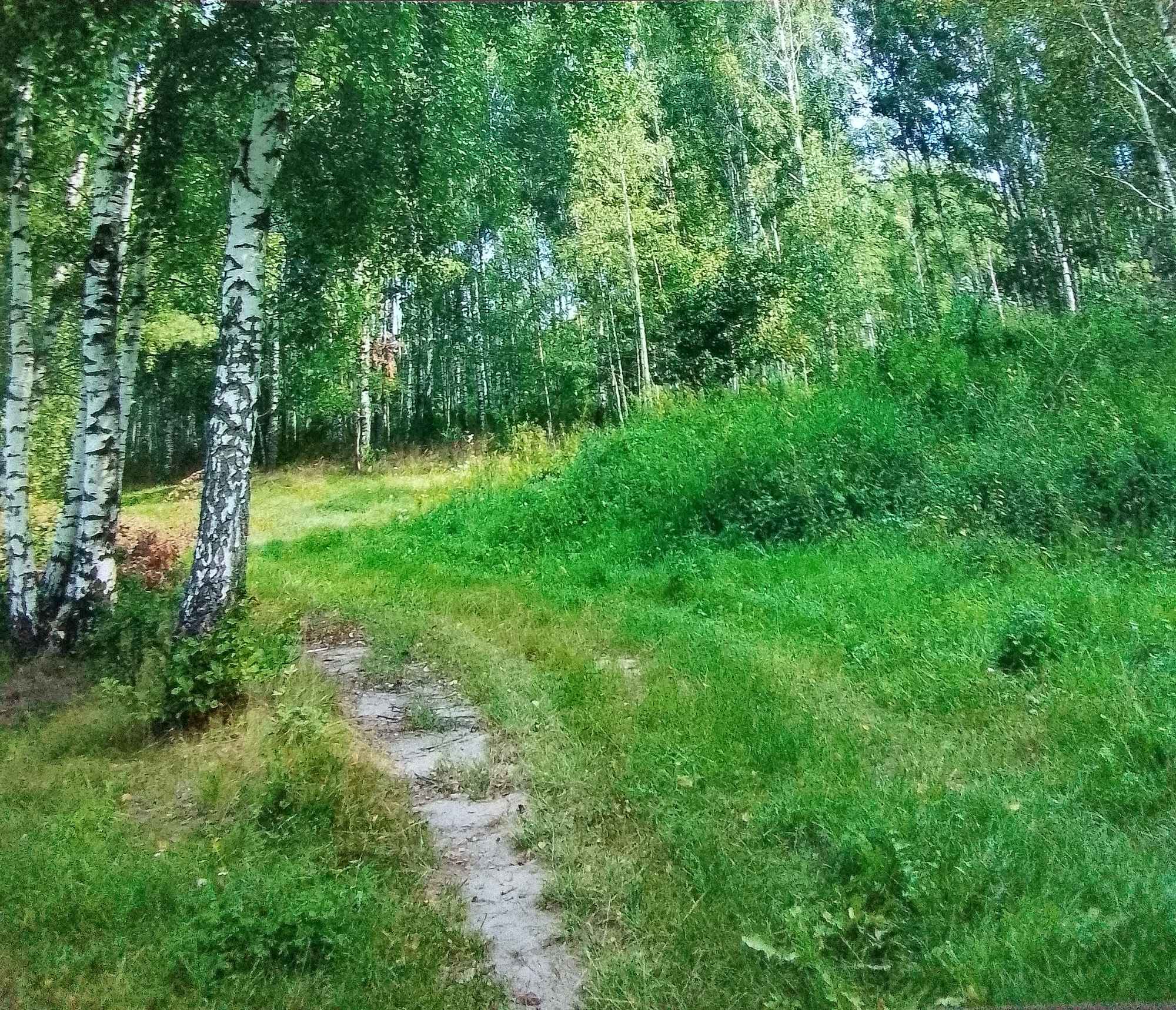 Ziemię na Warmii i Mazurach sprzedam Olsztyn - zdjęcie 2