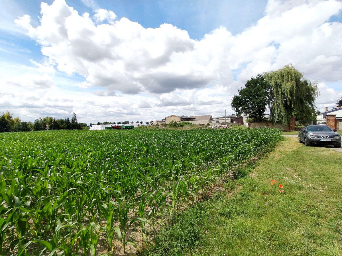 Działka z WZ, magazynowo - biurowe. Wysoczka - zdjęcie 7