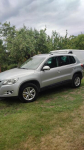 2.0 Tdi Cr 140km Salon Pl Niski przebieg 4x4 Tiguan Poznań - zdjęcie 3
