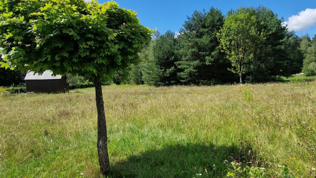 Działka budowlana Słójka Dziewiczy Ług Słójka - zdjęcie 4