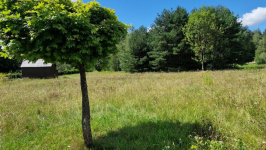 Działka budowlana Słójka Dziewiczy Ług Słójka - zdjęcie 4