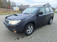 Subaru Forester Zieleniewo - zdjęcie 7