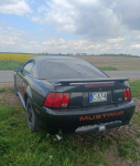 Ford Mustang /zamienię Poznań - zdjęcie 2
