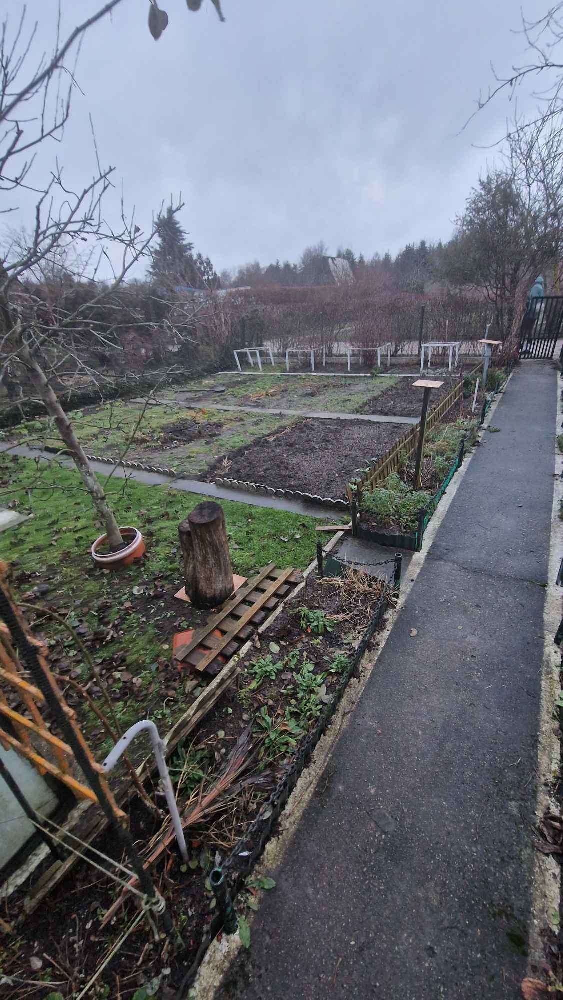 Sprzedam działke ROD - Altanka + szklarnia GIŻYCKO Giżycko - zdjęcie 8