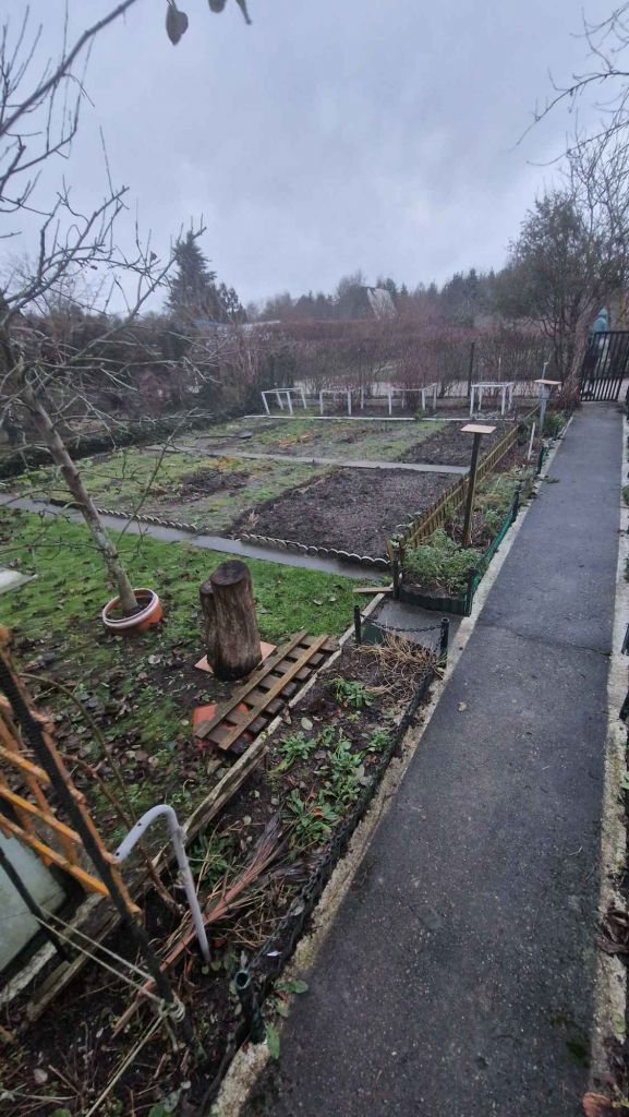 Sprzedam działke ROD - Altanka + szklarnia GIŻYCKO Giżycko - zdjęcie 8