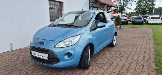 Ford KA GRZANE FOTELE Paproć - zdjęcie 3